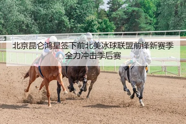北京昆仑鸿星签下前北美冰球联盟前锋新赛季全力冲击季后赛